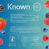 Vegan Iron Gummies – Energy & Vitality Support