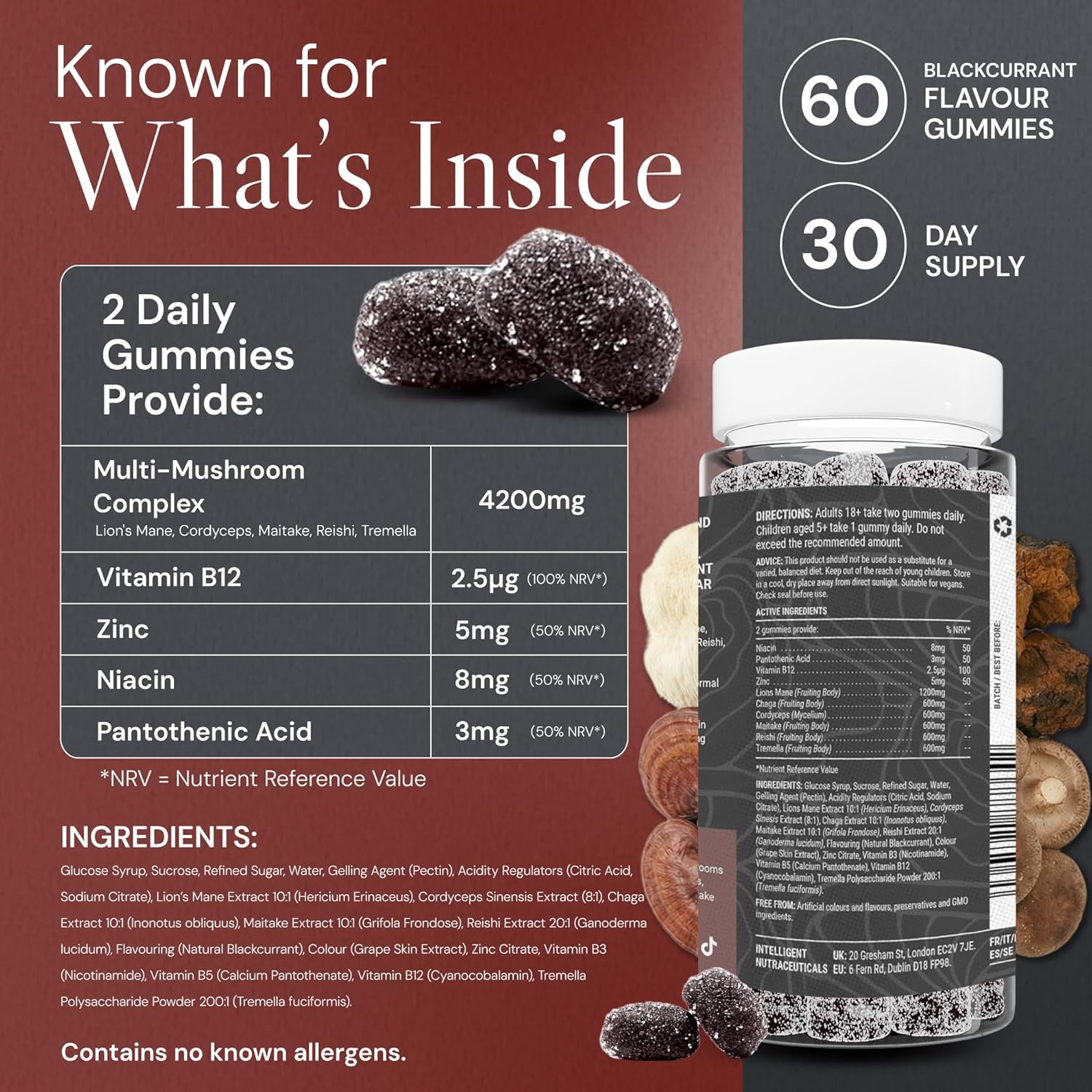 High Strength Multi Mushroom Gummies – 10 Mushroom Blend for Focus & Energy